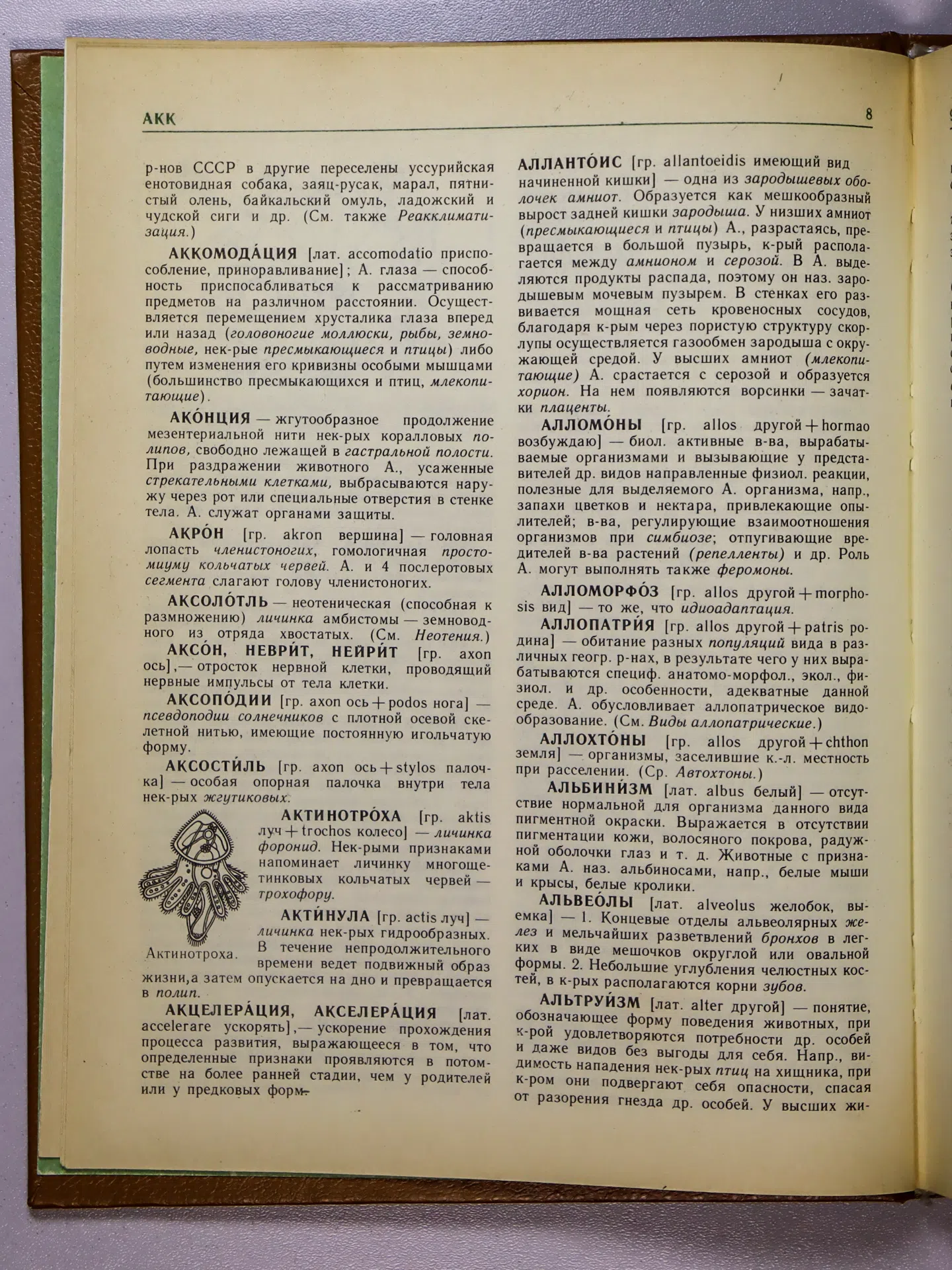 Крапивный А. П., Радкевич В. А., Тихонова Н. И. Краткий зоологический словарь