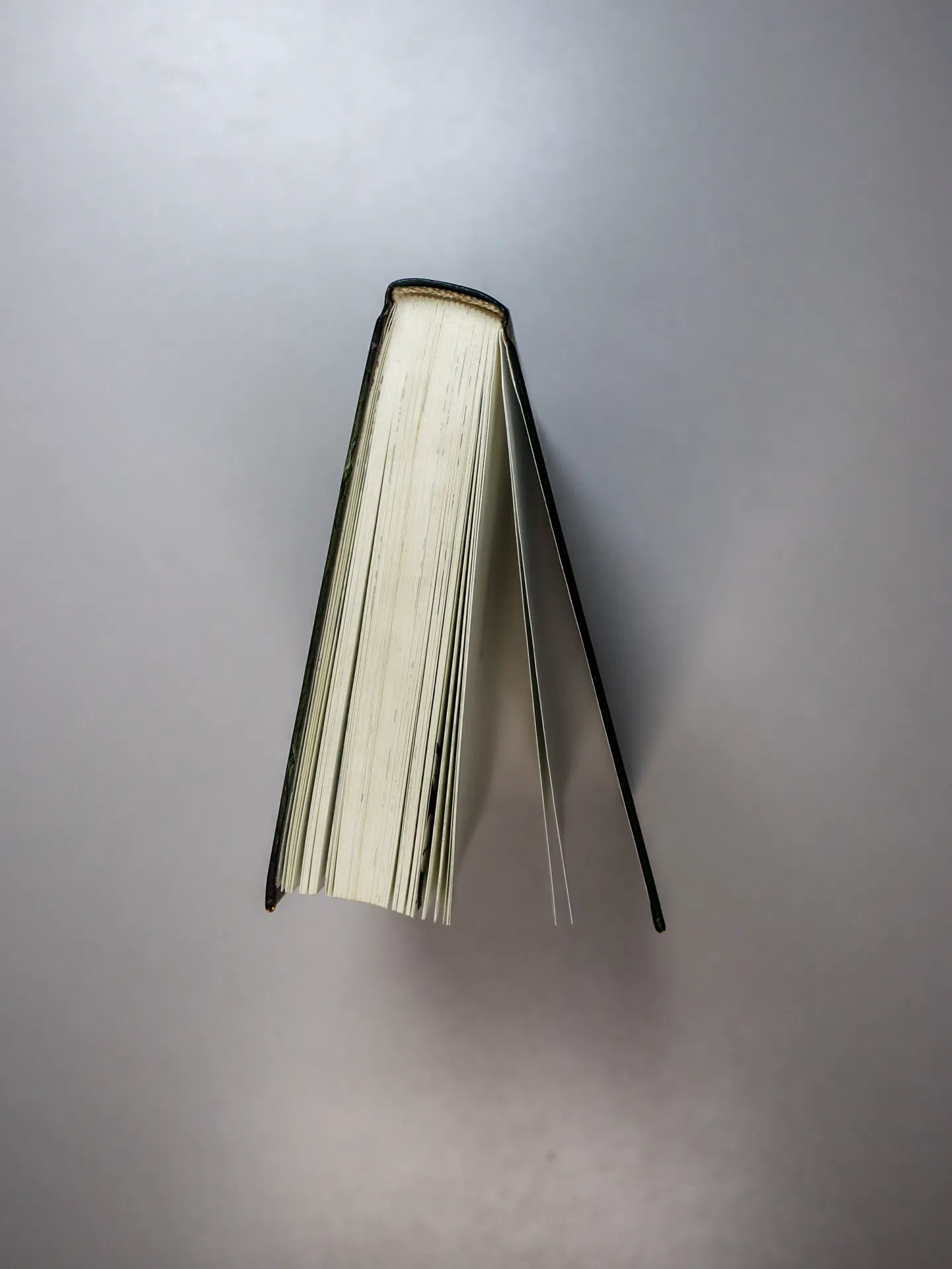 Сазерленд Кари. Алиса в Зазеркалье