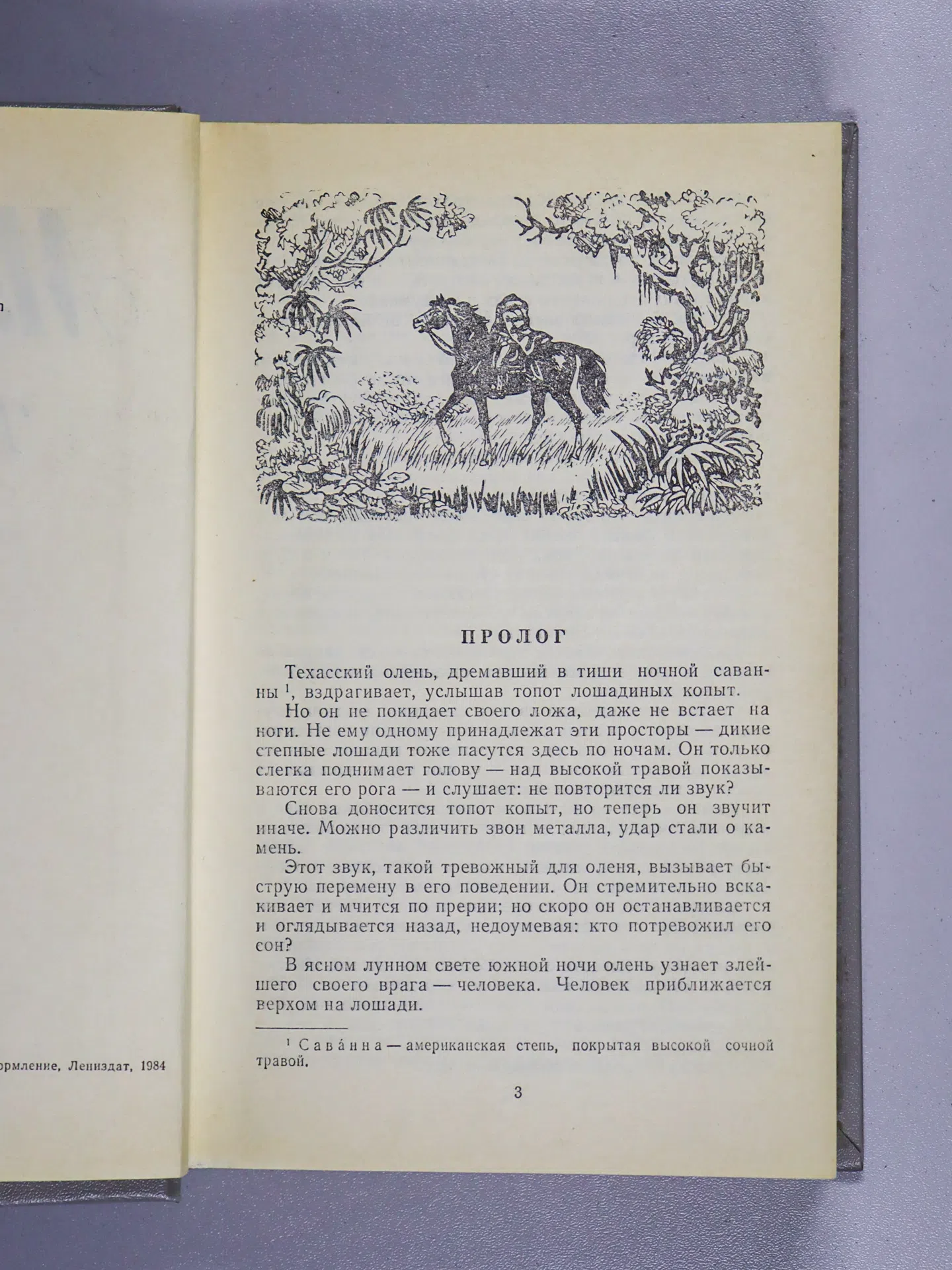Рид Майн. Всадник без головы