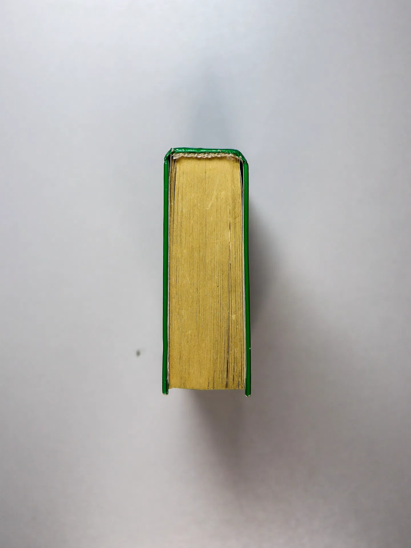 Справочник школьника. 5–11 классы