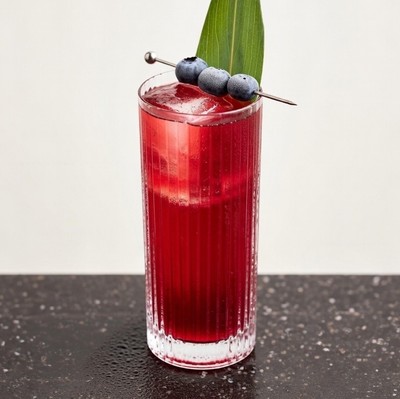 Blackcurrant Fizz